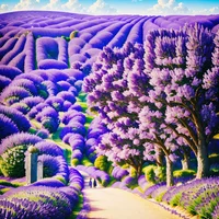 QR Code Expert beautiful example: Lavender field under blue sky.